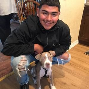 Meet your Posher, Matteaux